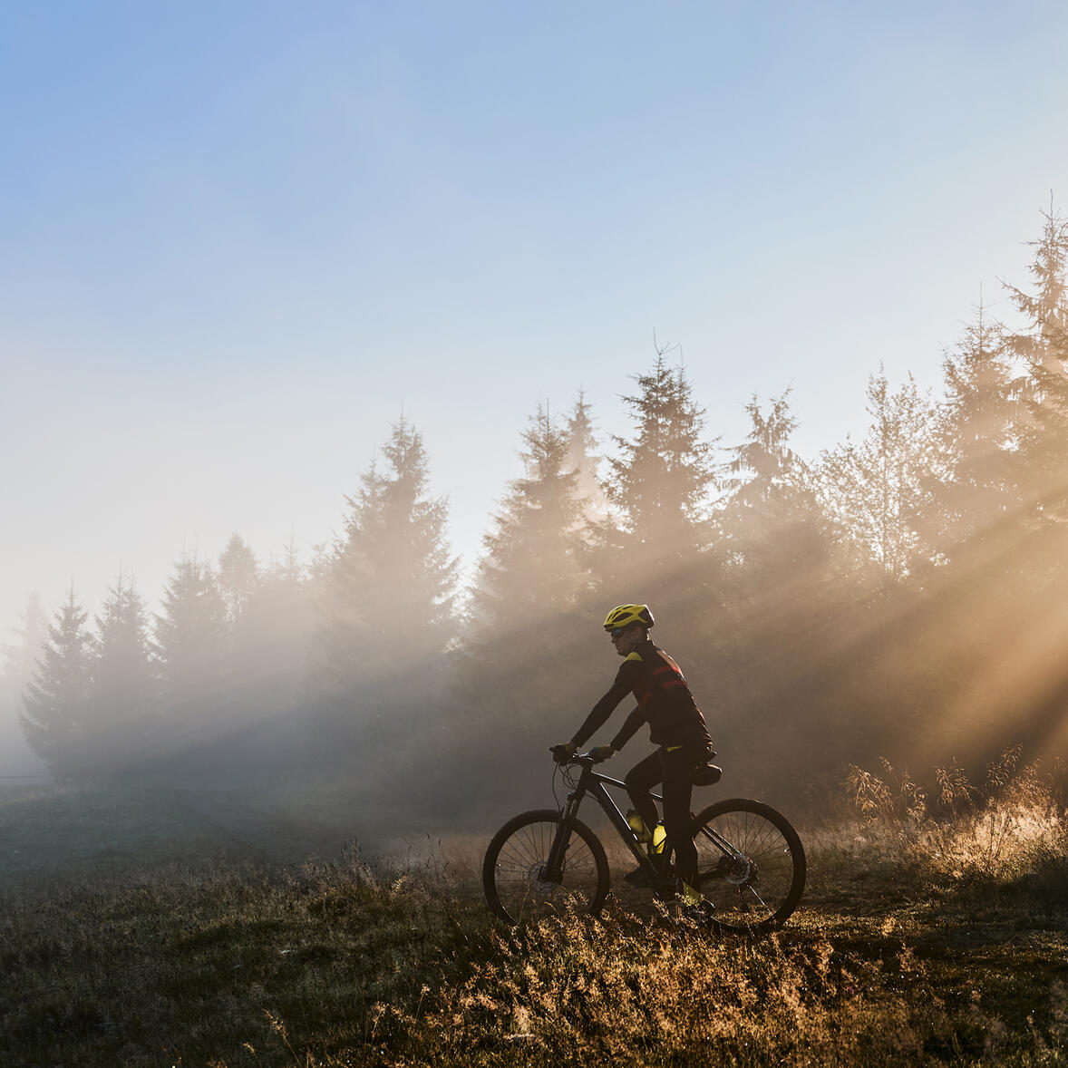Radfahren & Natur